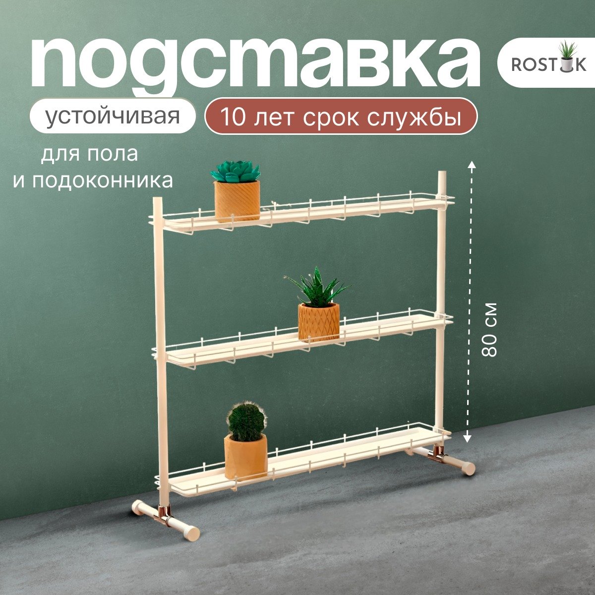 Кедр-мини на ножках . Фото N8